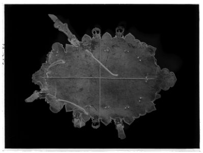 Riksvapen Sverige-Polen-Vasa - Livrustkammaren - 34425-negative