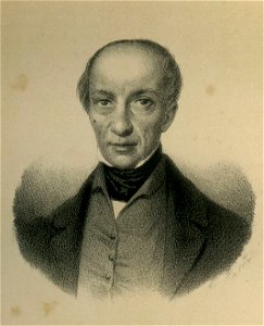 Ritratto di Francesco Puccinotti litografia