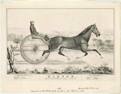 Ripton- July 19the 1842, beat Confidence, in a match for $500 a side, 2 mile heats in harness over Centreville course, L.I. winning in 2 straight heats, time 5-10 - 5-14 1-2 LCCN96509128