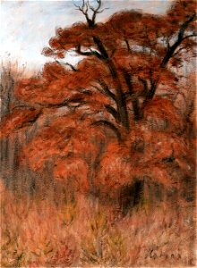 Rippl Chestnut Tree in Autumn. Free illustration for personal and commercial use.