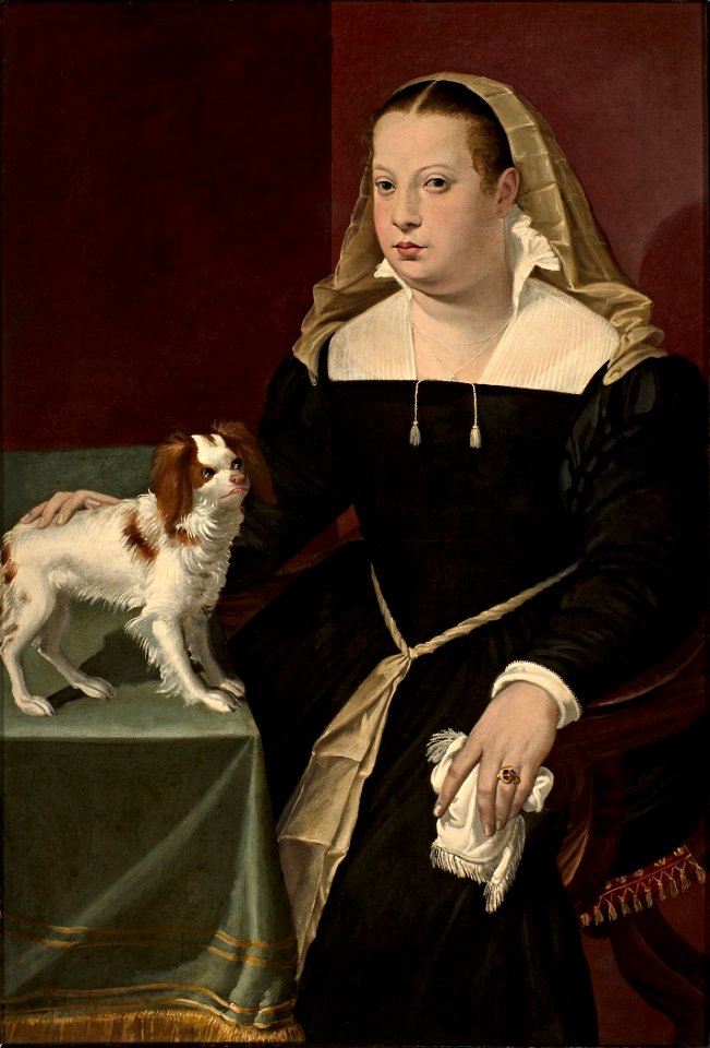 Ritratto di dama con cagnolino - Passarotti