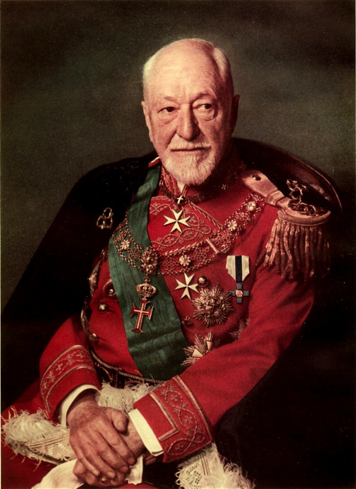 Ritratto del Gran Maestro Ludovico Chigi Albani della Rovere
