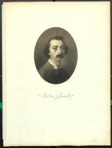 Ritratto di Andrea Gastaldi, 1871 - Accademia delle Scienze di Torino - Ritratti 0152