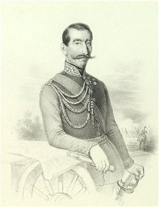 Ritratto di Alfonso della Marmora, 1848 - Accademia delle Scienze di Torino - Ritratti 0034 B