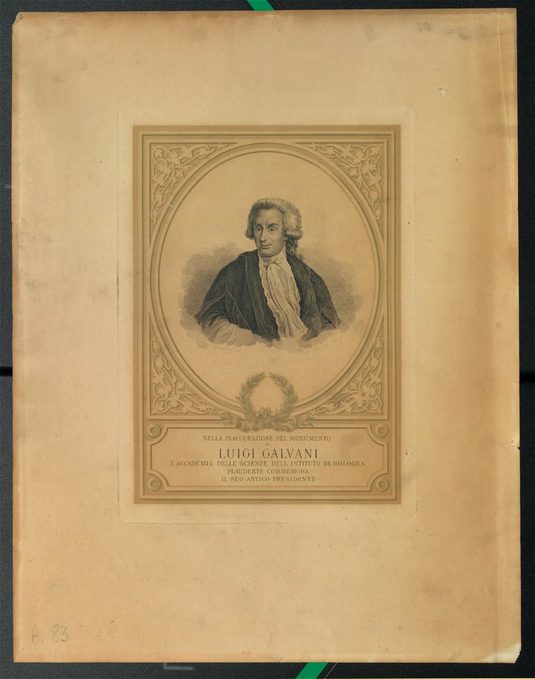 Ritratto di Luigi Galvani, 1897 - Accademia delle Scienze di Torino - Ritratti 0100