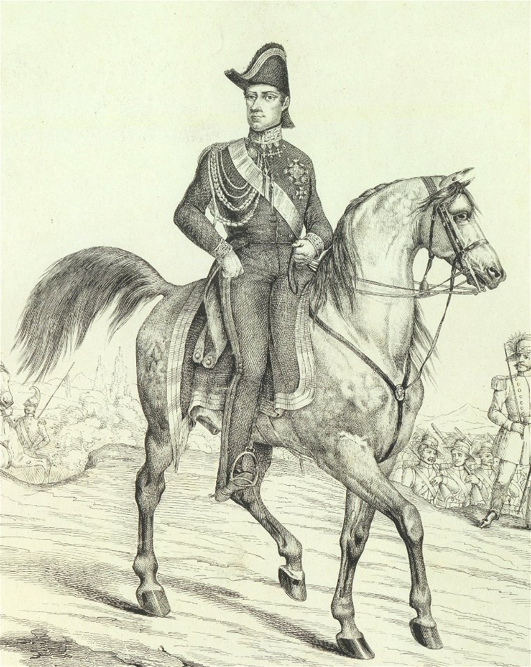 Ritratto di Carlo Alberto, 1843 - Accademia delle Scienze di Torino - Ritratti 0137 C