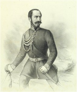 Ritratto di Michele Allemandi, 1848 - Accademia delle Scienze di Torino - Ritratti 0038 B