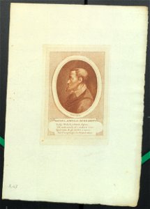 Ritratto di Michelangelo Buonarroti, fine XVIII sec. - Accademia delle Scienze di Torino - Ritratti 0051