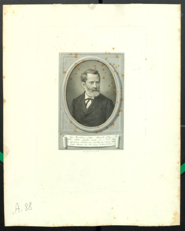 Ritratto di Quintino Sella, ante 1905 - Accademia delle Scienze di Torino - Ritratti 0106