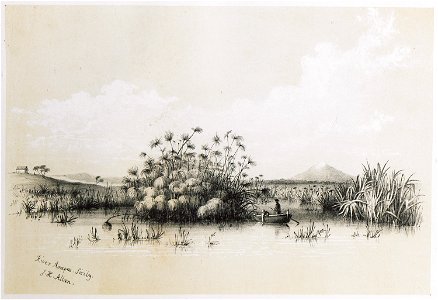 River Anapas Sicily - Allan John H - 1843