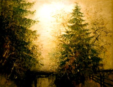 Riverside Trees