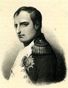 Ritratto di Napoleone I litografia