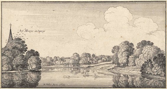 Riviergezicht met zwanen nabij Albury