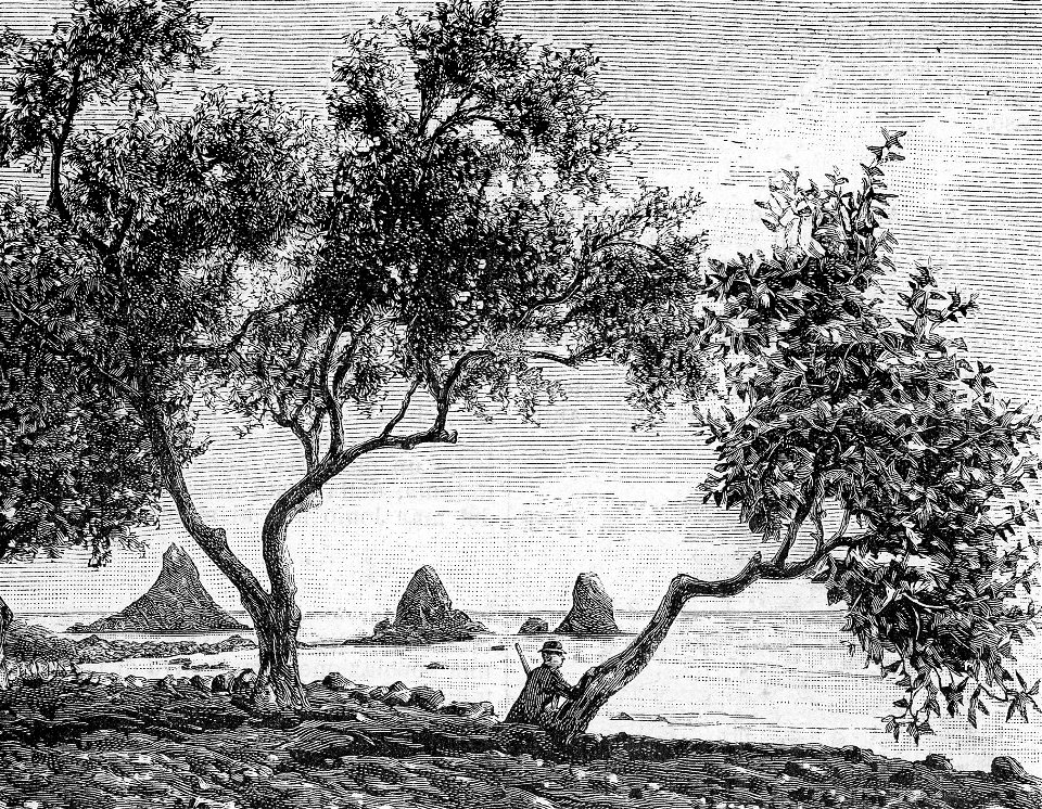 Riviera di Acireale (xilografia)