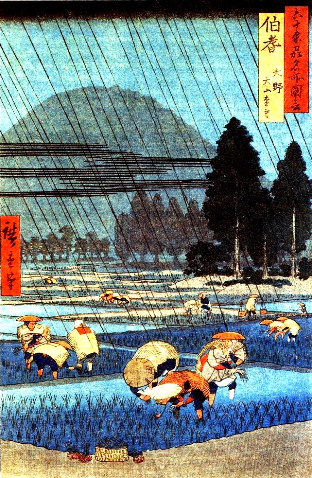 Riziere Oki