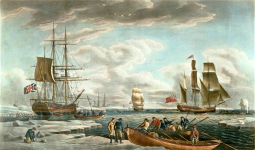 Robert Dodd - The North West or Davis's Streights Whale Fishery (cropped)