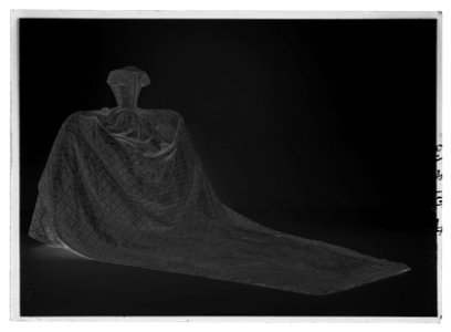 Robe de cour kröningsklänning - Livrustkammaren - 27096-negative
