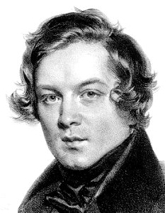 Robert Schumann-cadré