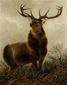 Robert Cleminson (1864-1903) - The Monarch of the Glen (after Edwin Henry Landseer) - 1319320 - National Trust