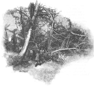 Robinson Crusoe Walter Paget 1896 256