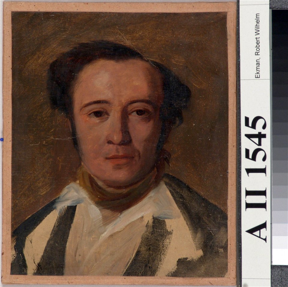 Robert Wilhelm Ekman - Study for Portrait of Frans Pippingsköld - A II 1545 - Finnish National Gallery