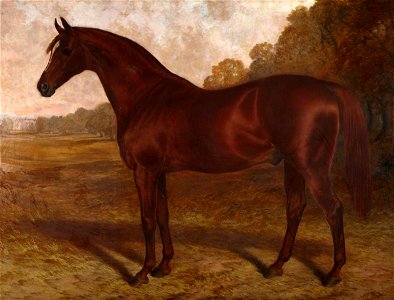 Robert Nightingale (1815-1895) - 'Hermit', A Bay Racehorse in a Landscape - 1220964 - National Trust