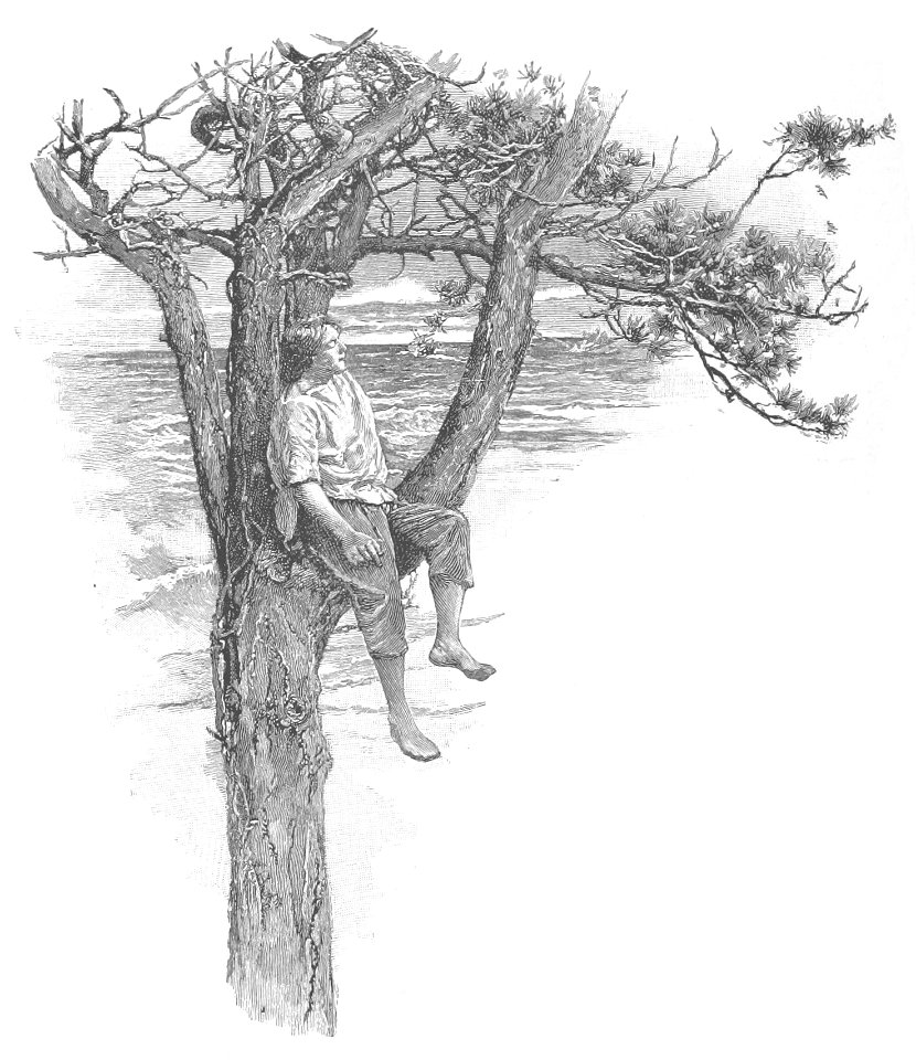 Robinson Crusoe Walter Paget 1896 036