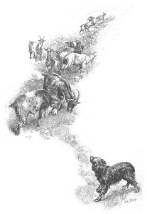 Robinson Crusoe Walter Paget 1896 052