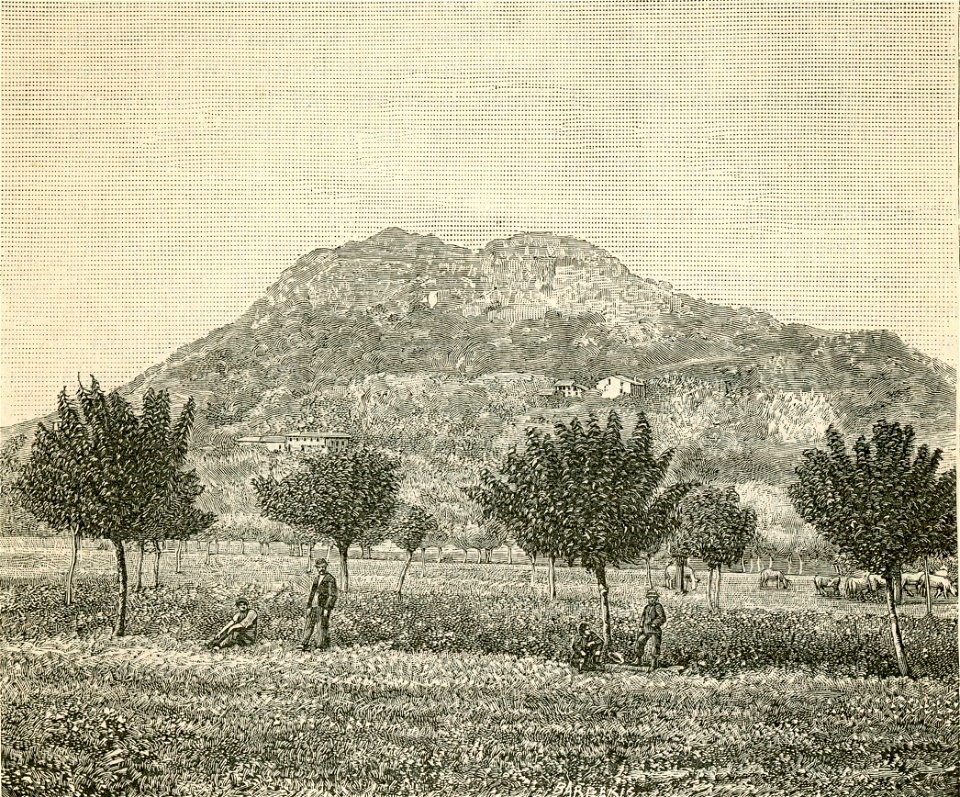 Rocca di Cavour xilografia