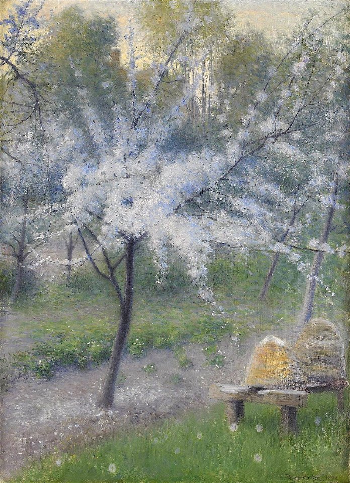 Robert Thegerström - Blommande körsbärsträd