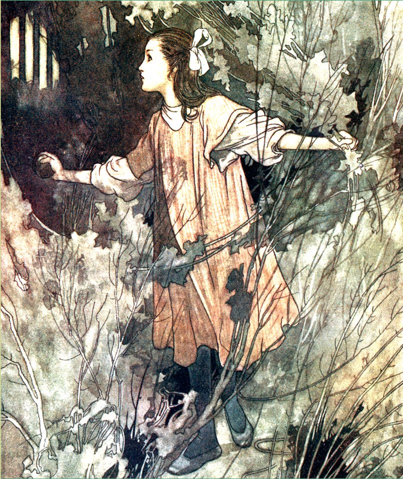Robinson The secret garden