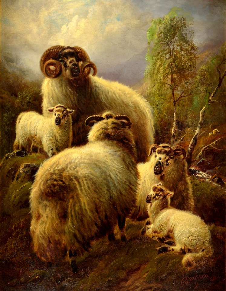 Robert Watson Highland Sheep 1899