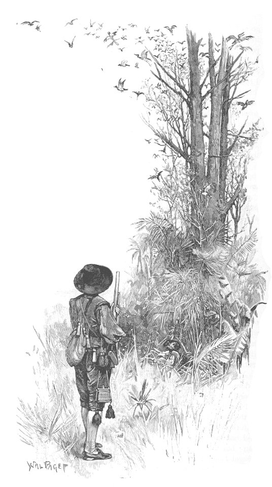 Robinson Crusoe Walter Paget 1896 040