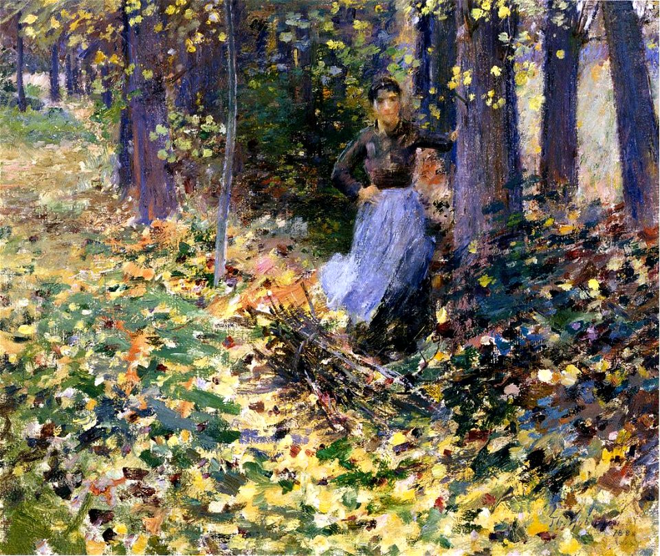 Robinson Autumn Sunlight