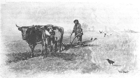 Robinson Crusoe Walter Paget 1896 219