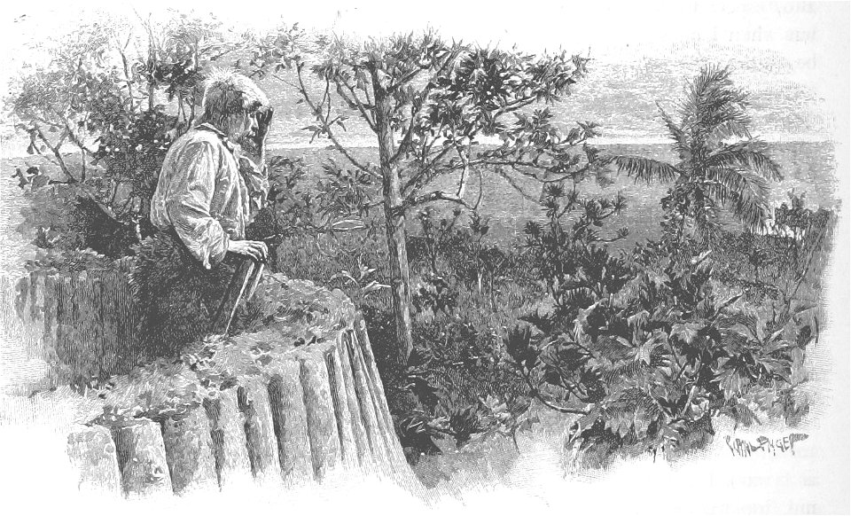 Robinson Crusoe Walter Paget 1896 132