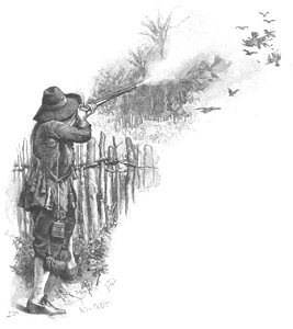 Robinson Crusoe Walter Paget 1896 084