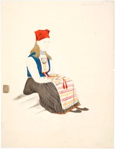 Robert Wilhelm Ekman - Talonpoikaisnainen Ruokolahdelta istumassa kädet esiliinan alla - A I 457-217 - Finnish National Gallery