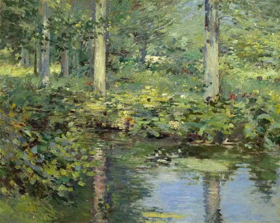 Robinson The Duck Pond