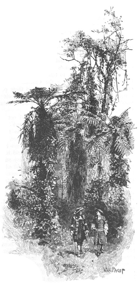 Robinson Crusoe Walter Paget 1896 301