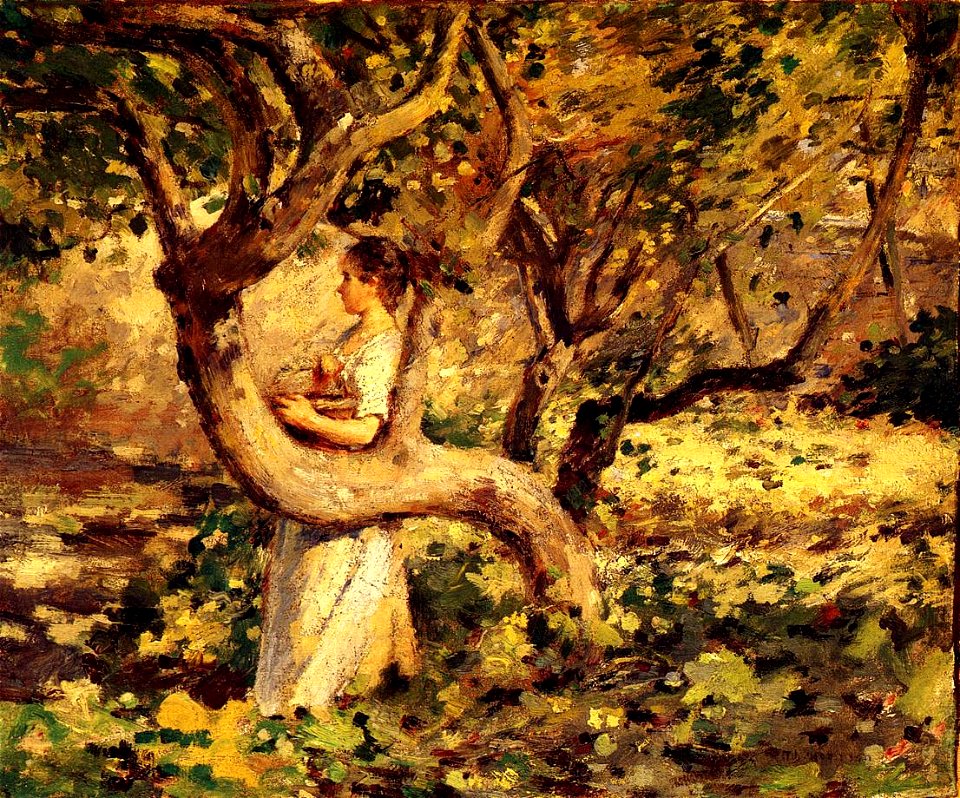 Robinson In the Garden