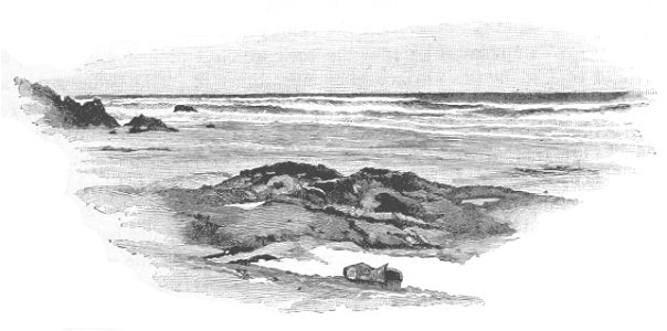 Robinson Crusoe Walter Paget 1896 033