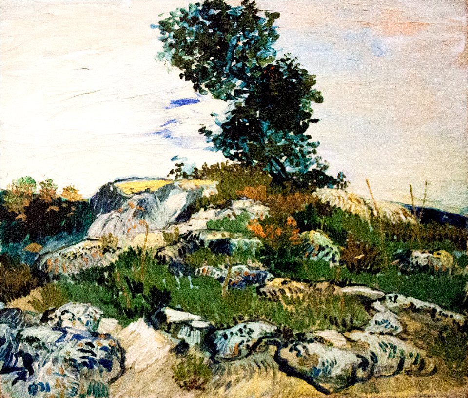 Rocks with Oak Tree (JH 1489) - My Dream