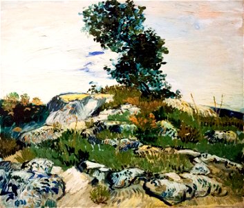 Rocks with Oak Tree (JH 1489) - My Dream
