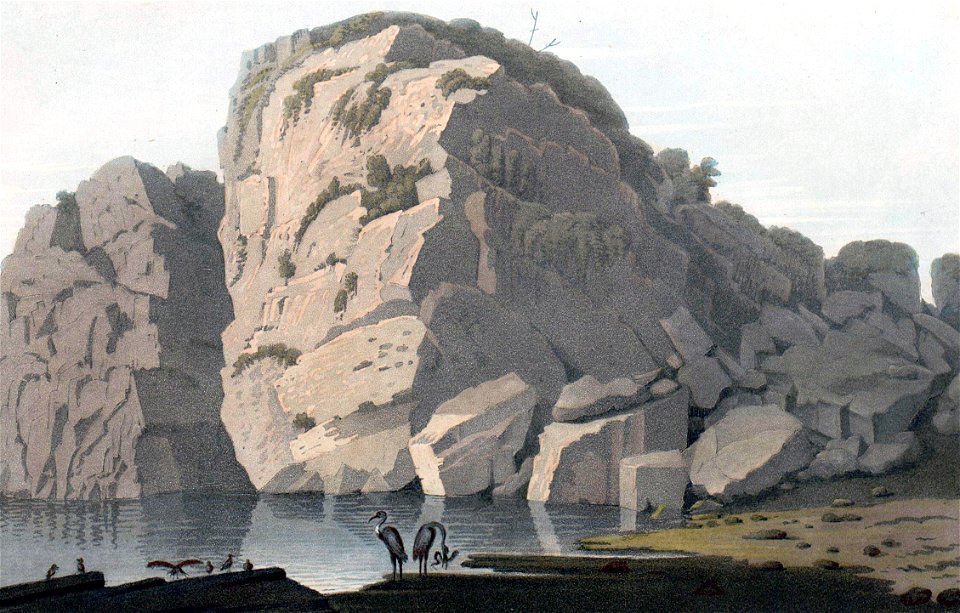 Rock near Krageröe (JW Edy plate 28)