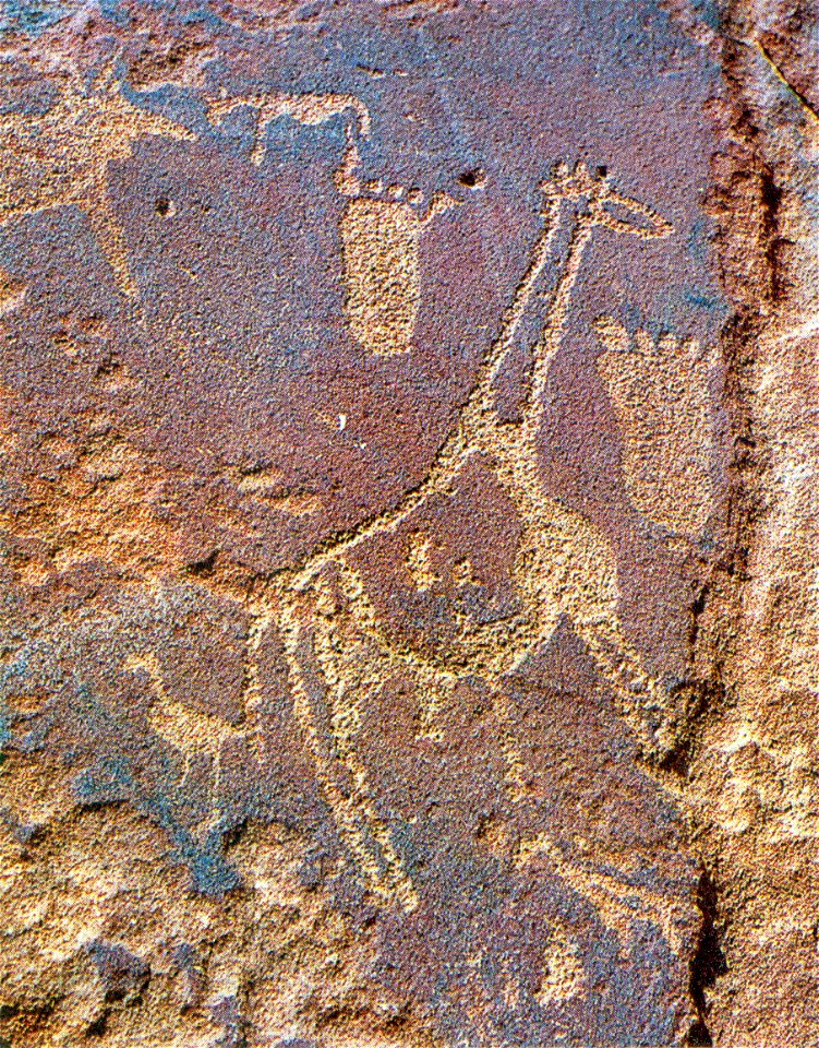 Rock carving from the Tassili n'Ajjer mountains