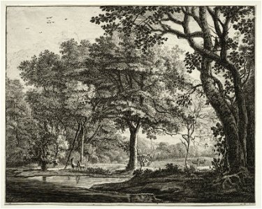 Roelant Roghman (Dutch, 1627-1692) - Six view in the wood of the Hague, Two Deer - 1943.610.6 - Cleveland Museum of Art