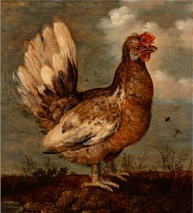 Roelandt Savery - Een hoentje - 1774 (OK) - Museum Boijmans Van Beuningen