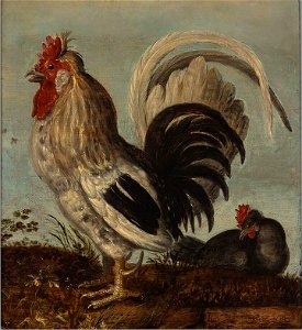 Roelandt Savery - Een haantje - 1775 (OK) - Museum Boijmans Van Beuningen