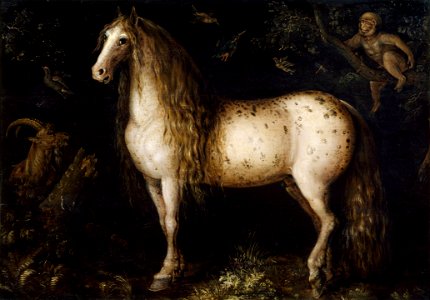 Roelant Saverij - The dapple-grey - Google Art Project